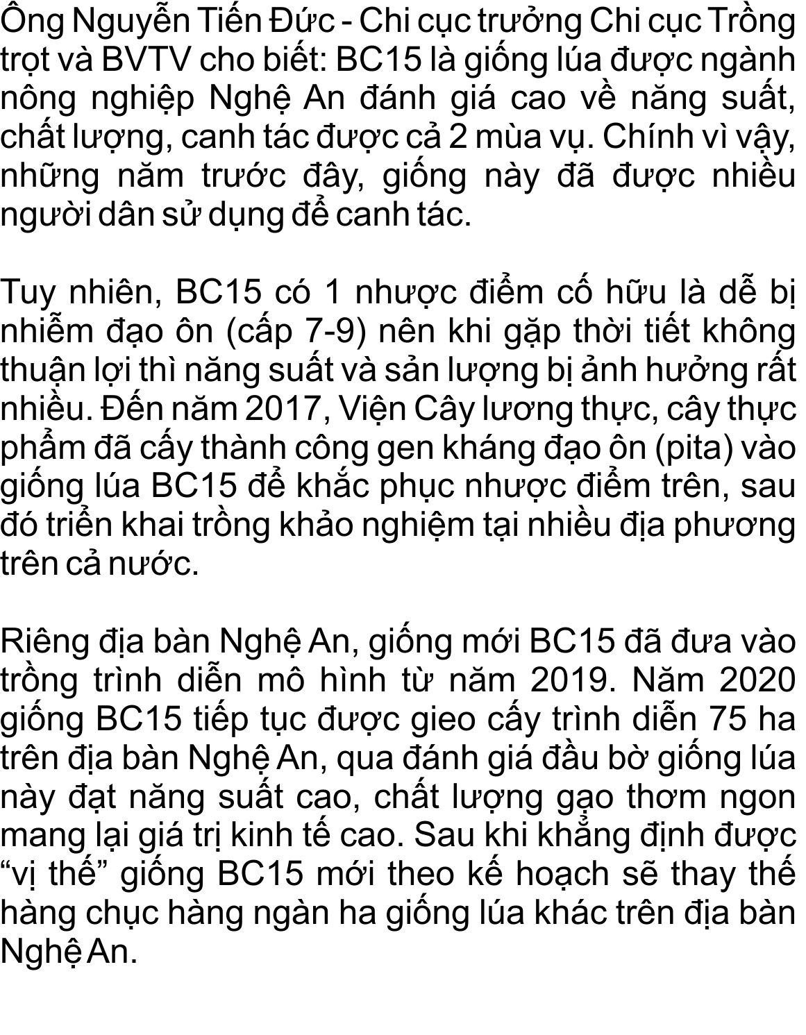 giong-lua-bc15-khang-dao-on-(6).jpg