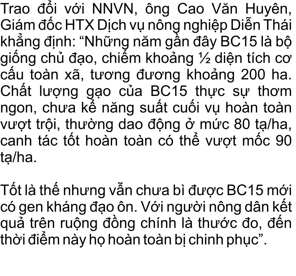 giong-lua-bc15-khang-dao-on-(611).jpg