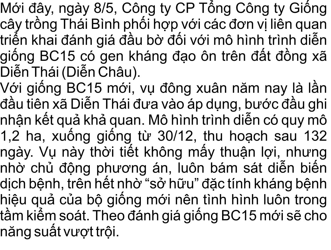 giong-lua-bc15-khang-dao-on-(3).jpg