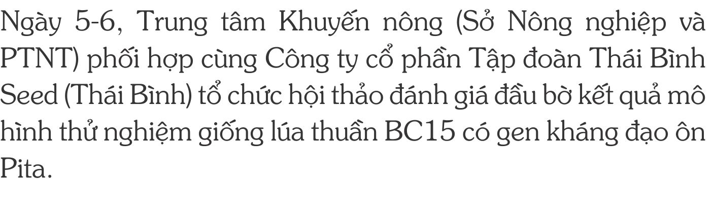 BC15-khang-đao-on-1-(2).jpg