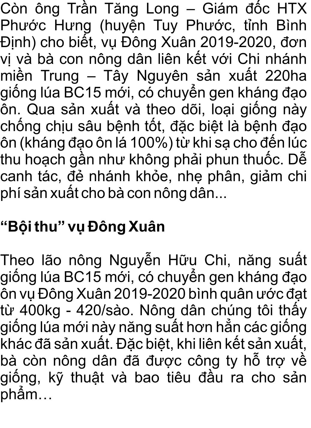 giong-lua-bc15-khang-dao-on-(13).jpg