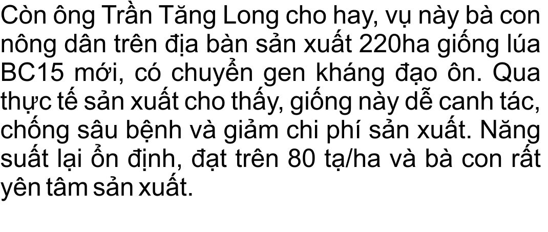 giong-lua-bc15-khang-dao-on-(16).jpg