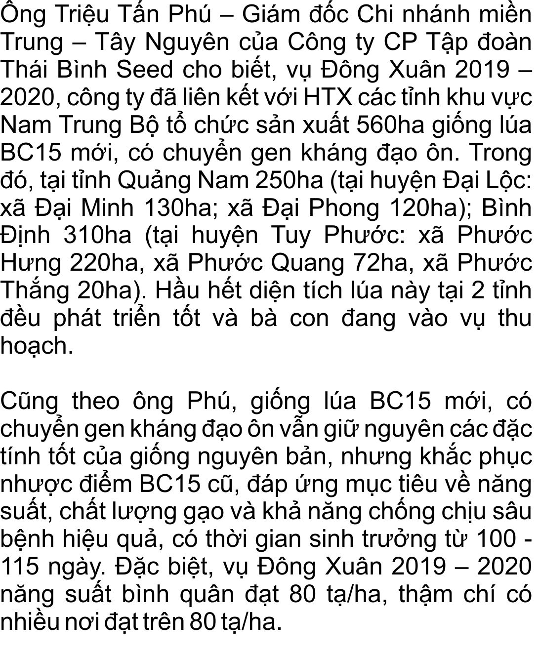 giong-lua-bc15-khang-dao-on-(17).jpg