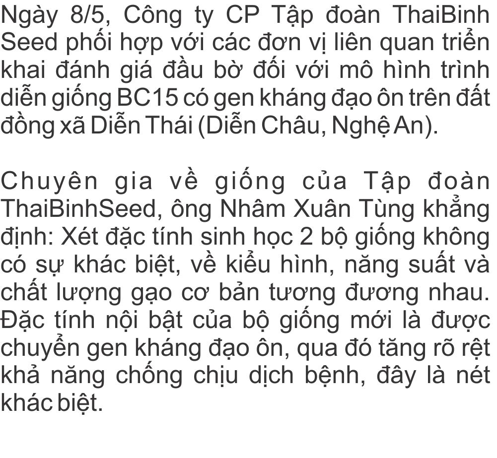 giong-lua-bc15-khang-dao-on-(1).jpg