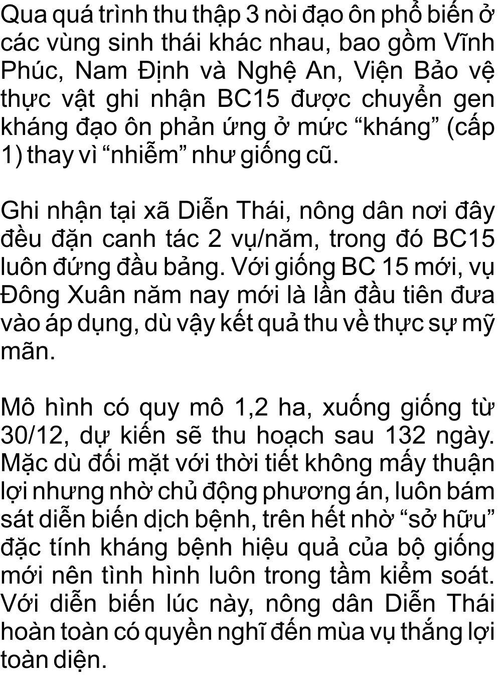 giong-lua-bc15-khang-dao-on-(61).jpg