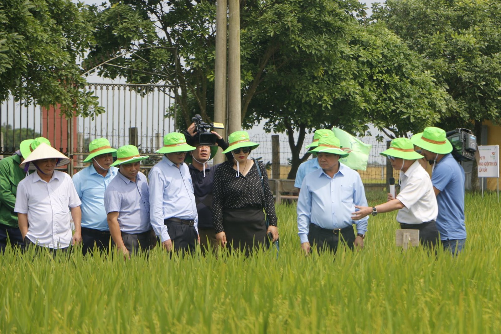 Thứ trưởng Bộ NN&PTNT thăm TTNC phát triển sản phẩm mới của Tập đoàn ThaiBinh Seed