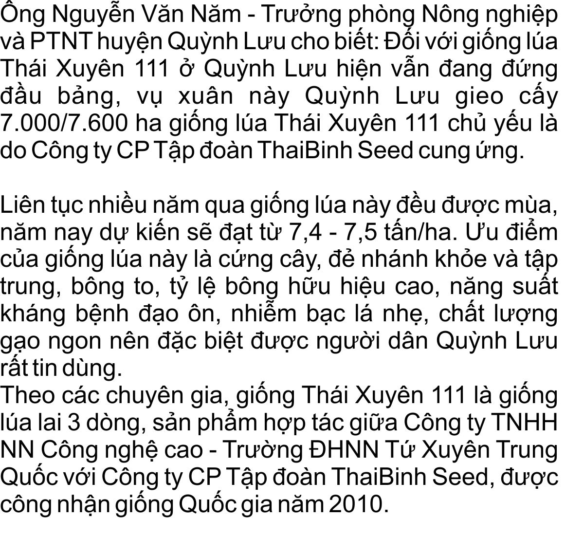 giong-lua-bc15-khang-dao-on-(8).jpg